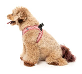 Thornbury - Brick Red- Dog Step In Harness
